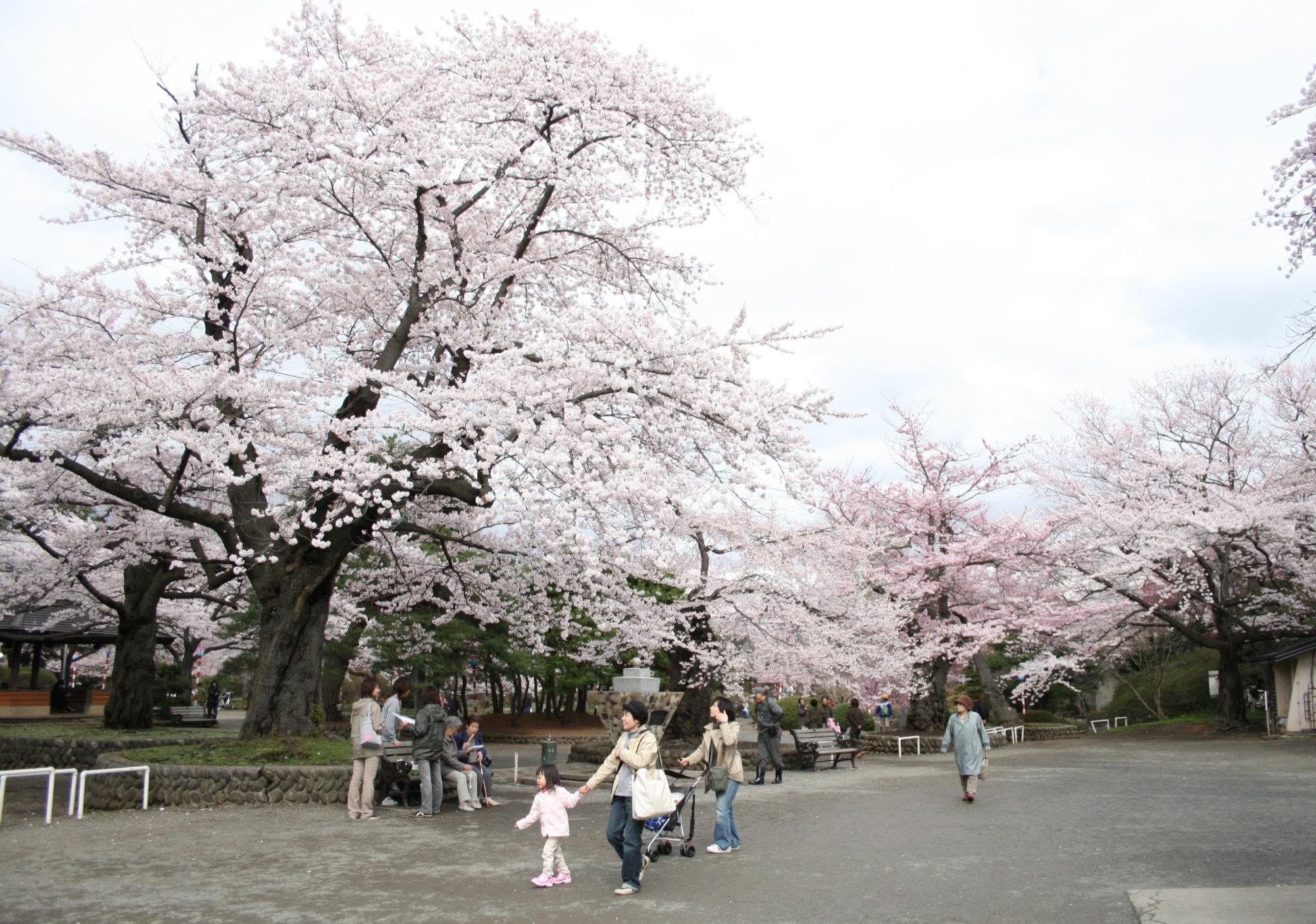 🌳 미즈사와 공원(미즈사와 코엔) 이미지 2